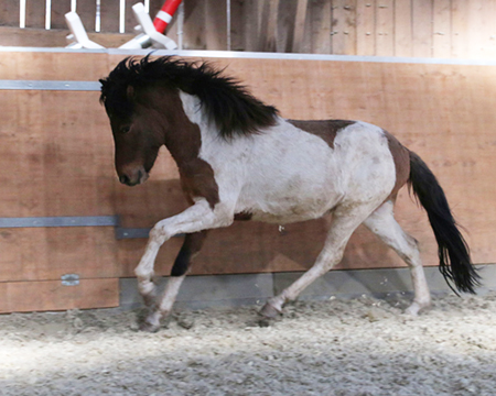 © 2015 by Glockenhof