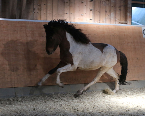 © 2015 by Glockenhof