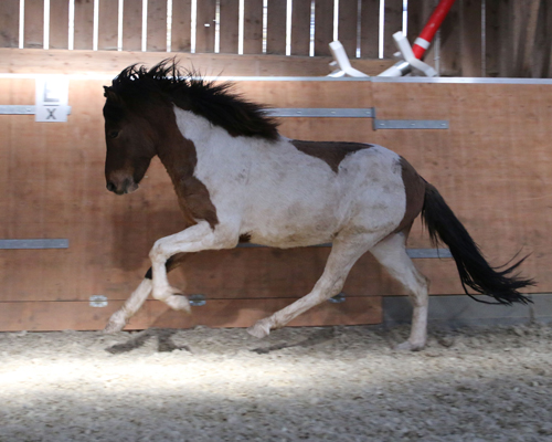 © 2015 by Glockenhof