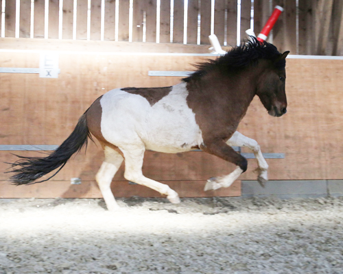 © 2015 by Glockenhof