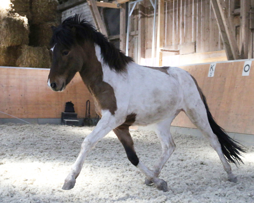 © 2015 by Glockenhof