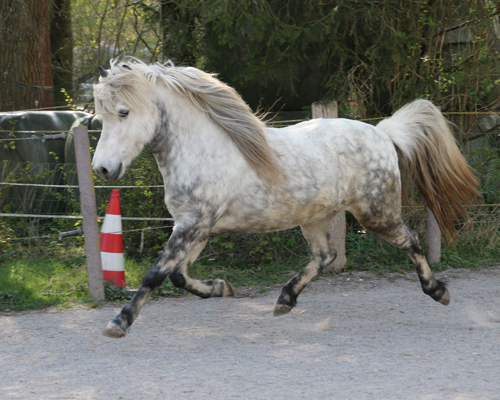 © 2015 by Glockenhof