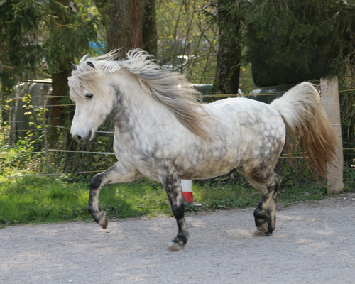 © 2015 by Glockenhof