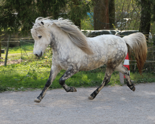 © 2015 by Glockenhof