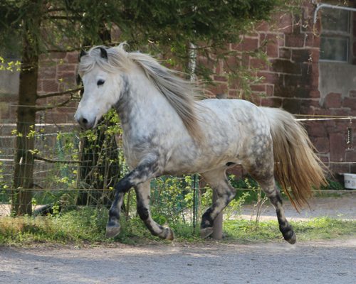 © 2015 by Glockenhof