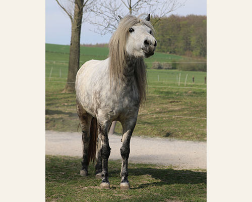 © 2015 by Glockenhof