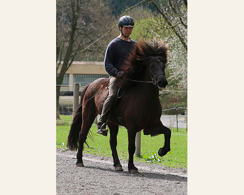 © 2015 by Glockenhof