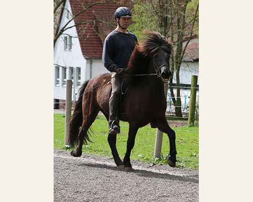 © 2015 by Glockenhof