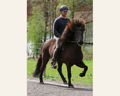 © 2015 by Glockenhof