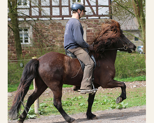 © 2015 by Glockenhof