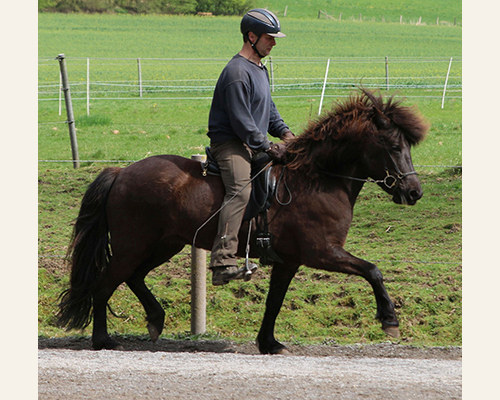 © 2015 by Glockenhof