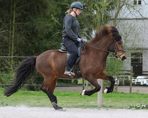 © 2015 by Glockenhof