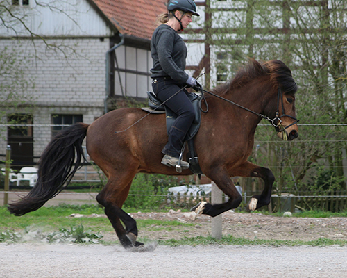 © 2015 by Glockenhof