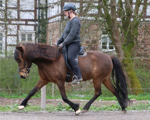 © 2015 by Glockenhof