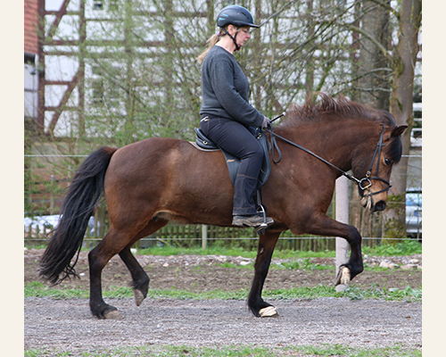 © 2015 by Glockenhof