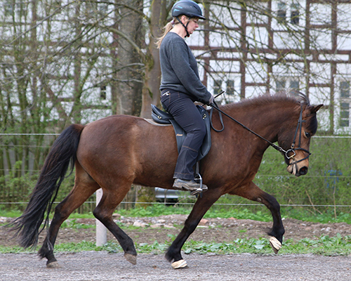 © 2015 by Glockenhof