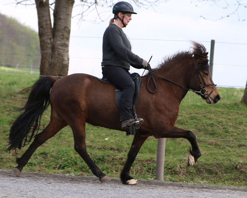 © 2015 by Glockenhof