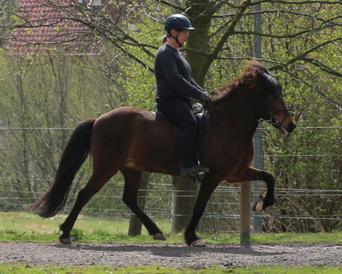 © 2015 by Glockenhof