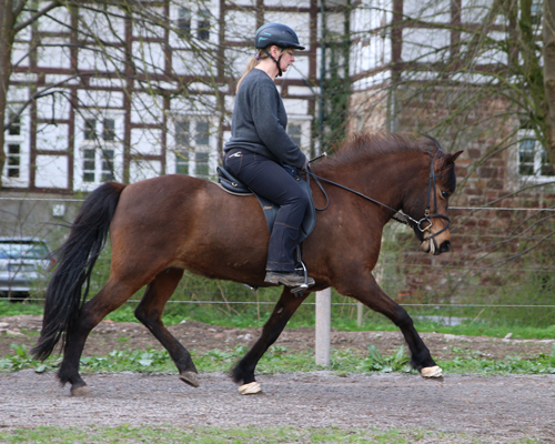 © 2015 by Glockenhof