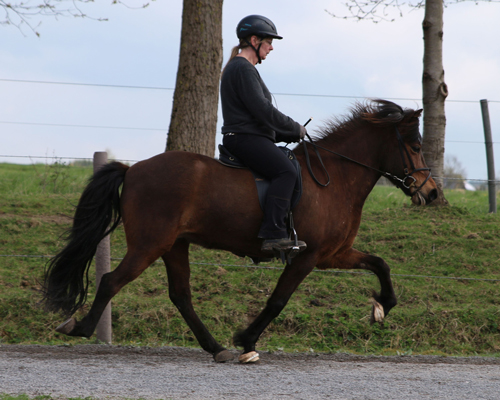 © 2015 by Glockenhof