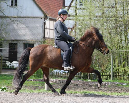 © 2015 by Glockenhof