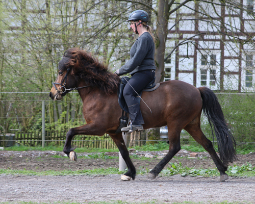 © 2015 by Glockenhof