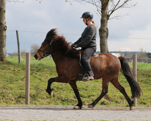 © 2014 by © 2015 by Glockenhof