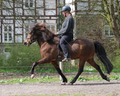 © 2015 by Glockenhof