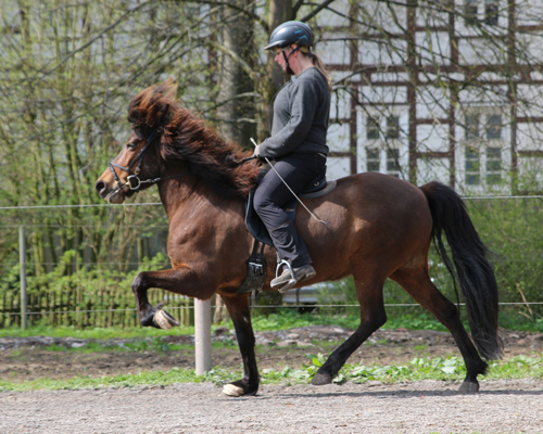 © 2015 by Glockenhof