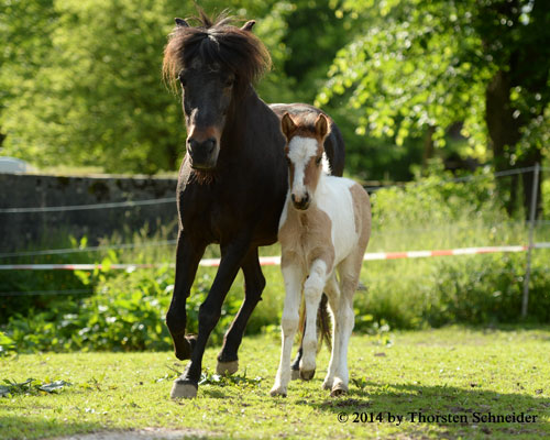 © 2014 by Thorsten Schneider