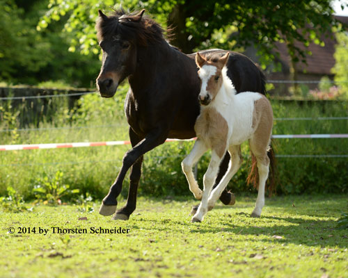 © 2014 by Thorsten Schneider