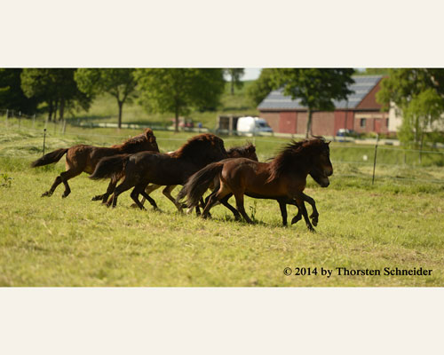 © 2014 by Thorsten Schneider