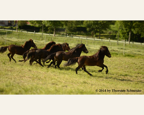 © 2014 by Thorsten Schneider