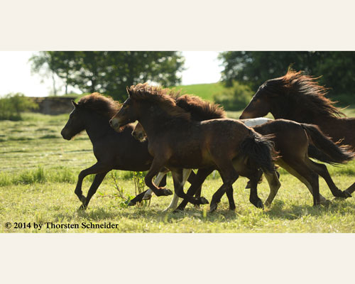 © 2014 by Thorsten Schneider