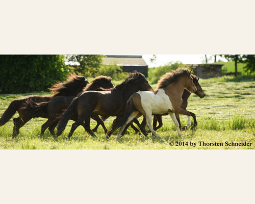 © 2014 by Thorsten Schneider