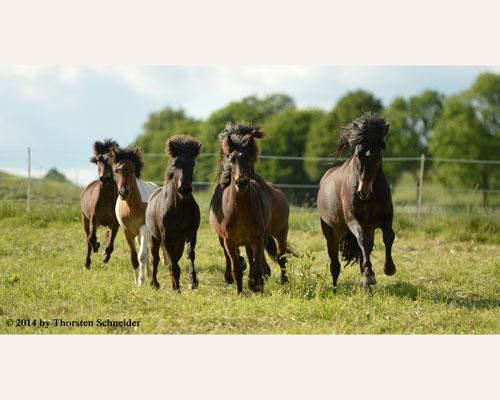 © 2014 by Thorsten Schneider