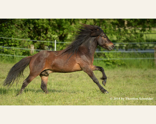 © 2014 by Thorsten Schneider