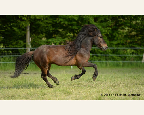 © 2014 by Thorsten Schneider