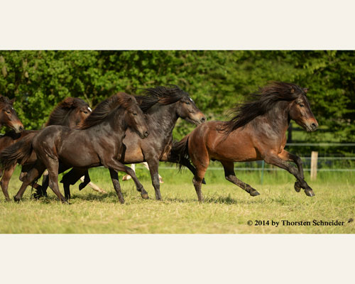 © 2014 by Thorsten Schneider