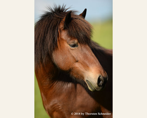 © 2014 by Thorsten Schneider