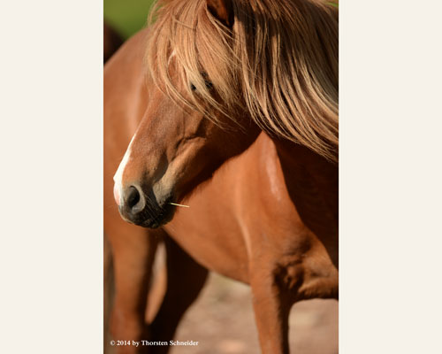 © 2014 by Thorsten Schneider