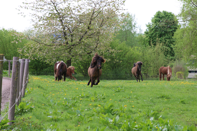©2018  by Heike Kaspar