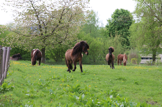 ©2018  by Heike Kaspar