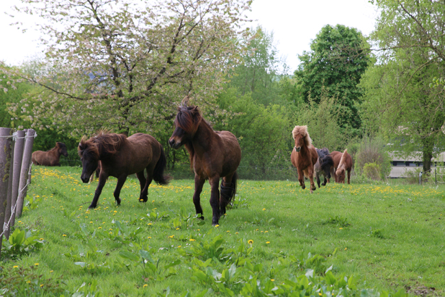 ©2018  by Heike Kaspar