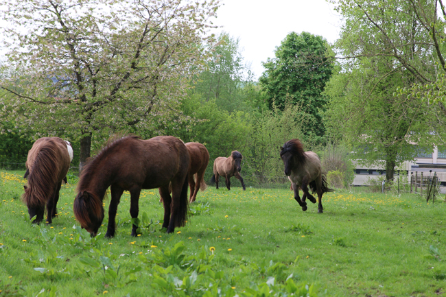 ©2018  by Heike Kaspar