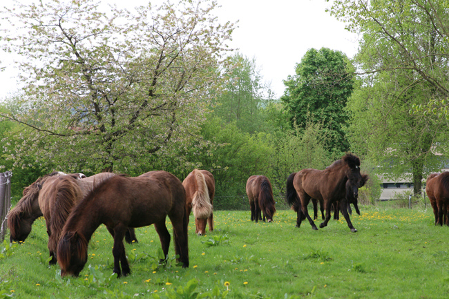 ©2018  by Heike Kaspar