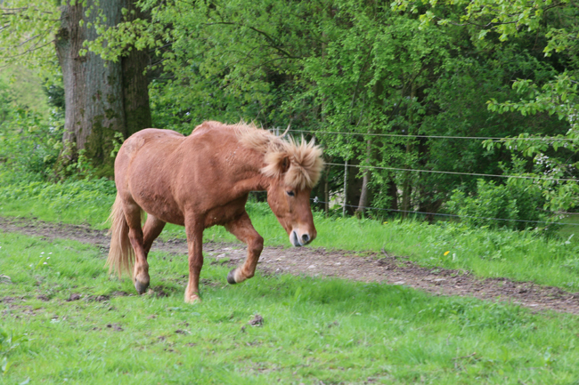 ©2018  by Heike Kaspar