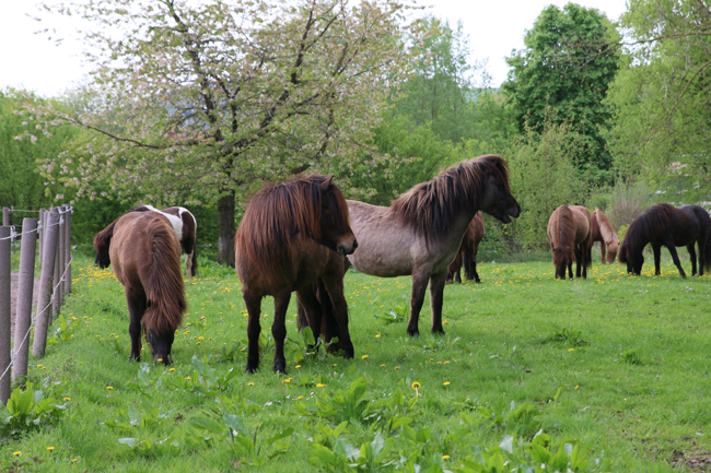 ©2018  by Heike Kaspar