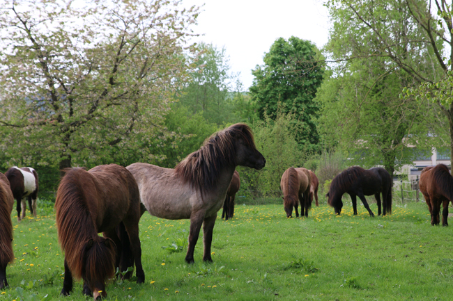 ©2018  by Heike Kaspar