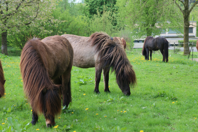 ©2018  by Heike Kaspar